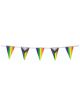 Printed Pride Triangular Indoor Bunting